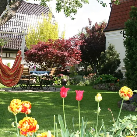 Apartment Cosy In The Harz Mountains Nordhausen