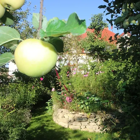 Apartment Cosy In The Harz Mountains Nordhausen